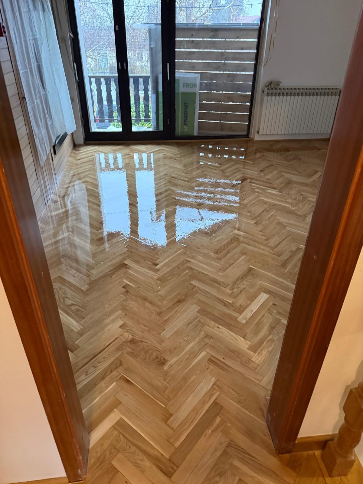 Lakirana riblja kost završeni rad
