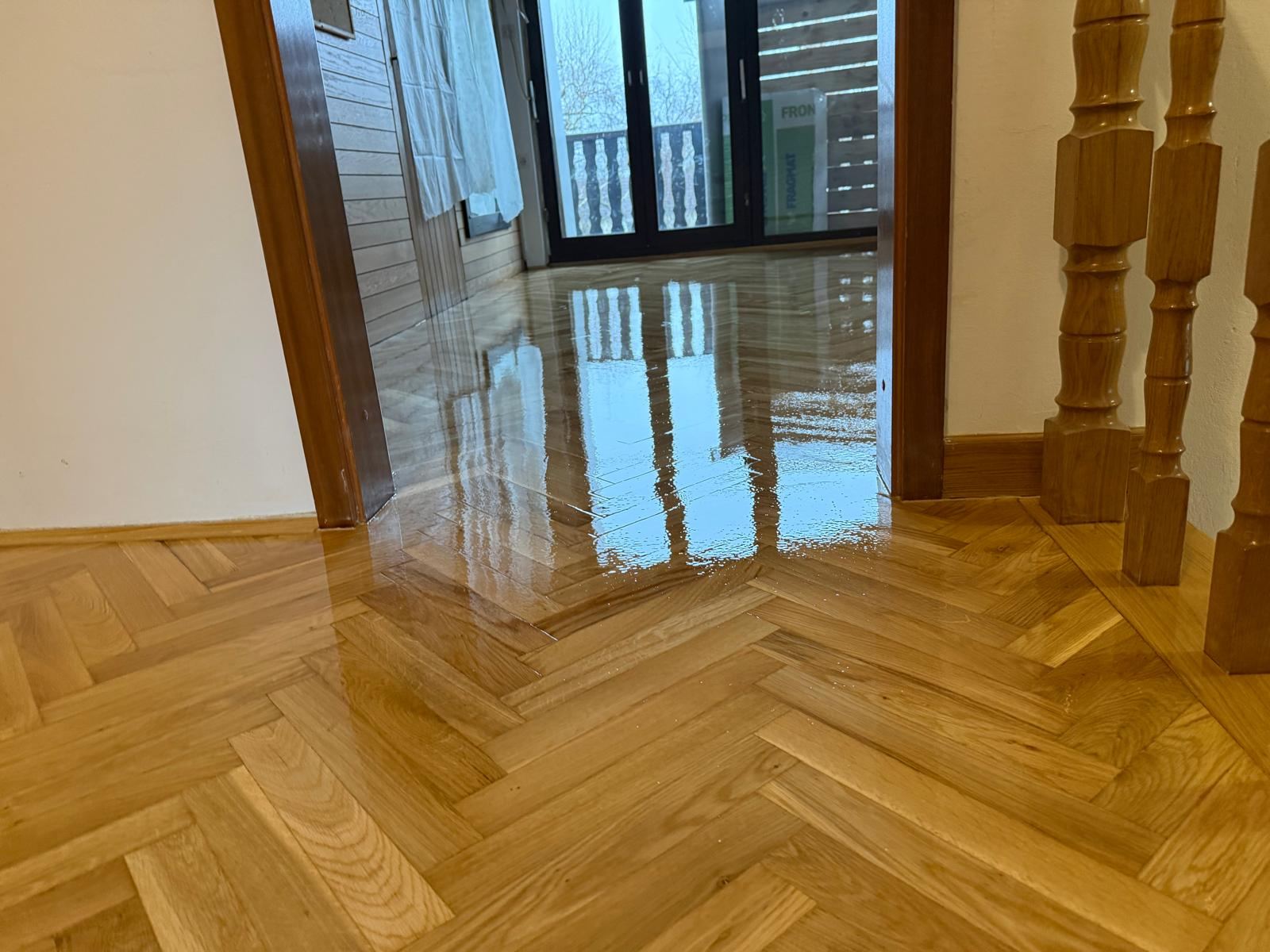 Lakirana riblja kost detalj